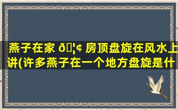 燕子在家 🦢 房顶盘旋在风水上讲(许多燕子在一个地方盘旋是什么意思)